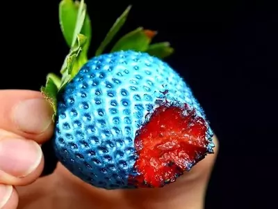 Explorando el Mundo de las Frutas Híbridas: Una Guía Completa