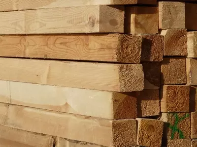 La Durabilidad de la Madera Frente al Agua: Tipos y Tratamientos Clave