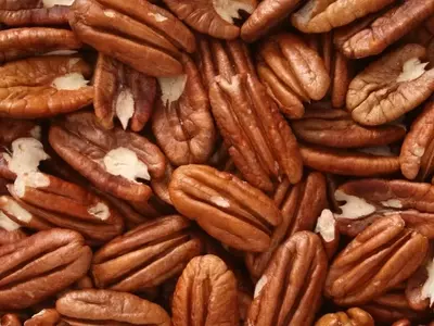 El Pecano: Un Vistazo Profundo al Árbol de la Nuez Pecana