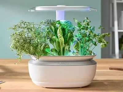 SmartGrow: La Revolución del Cultivo Doméstico Inteligente