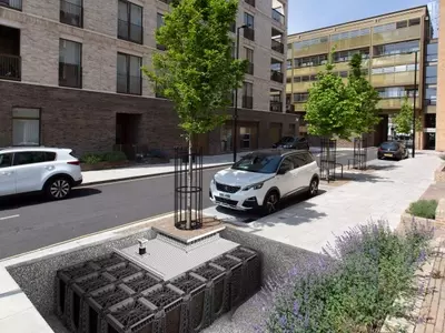 La Selección Arbórea Esencial para el Paisaje Urbano Español