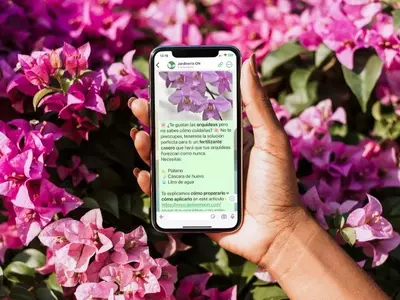 Jardinería On Lanza Nuevo Canal de WhatsApp para Entusiastas de las Plantas