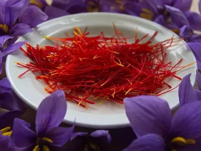 El Azafr￡n: El "Oro Rojo" que Transforma la Cocina y la Salud