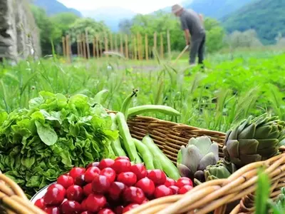 La Agricultura Ecológica: Un Compromiso con el Planeta y la Salud