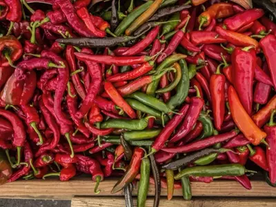 Explorando la Diversidad de los Pimientos Picantes