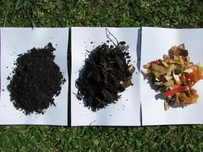 El Arte de Crear Compost Orgánico en Hogares Urbanos y Espacios Pequeños