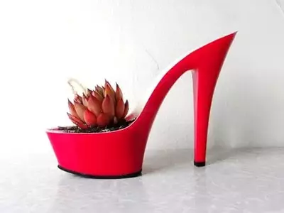 Jardinería Creativa: Transformando Objetos Cotidianos en Vidas Verdes