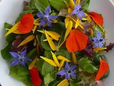 Flores Comestibles: Un Toque Exótico y Ancestral en la Gastronomía