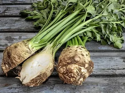 Descubriendo el Apio Nabo: Un Tesoro Nutricional y Medicinal