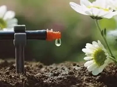 Optimización del Drenaje en Jardines: Guía Esencial para Evitar Encharcamientos