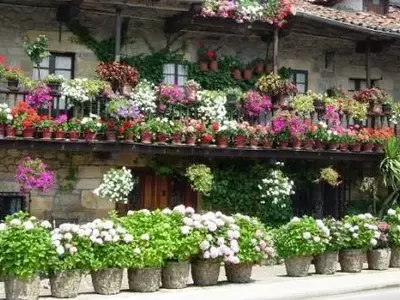 Jardinería en Contenedores: Creando Oasis Verdes en Espacios Reducidos