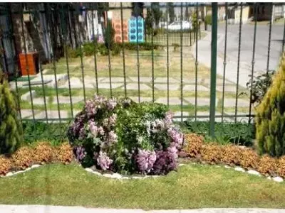 La Versatilidad de los Arbustos Ornamentales en el Diseño de Jardines