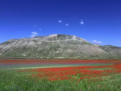 Despeñaderos: Donde los Tulipanes Florecen y la Sostenibilidad Inspira