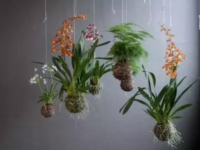 Crea Tu Propio Oasis Verde: Guía Definitiva para Jardineras Hechas en Casa