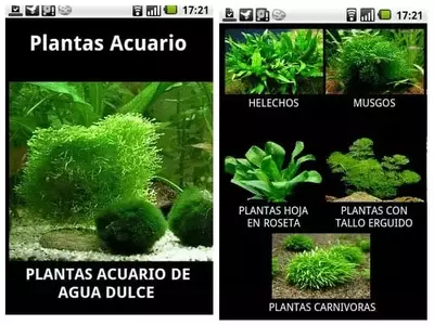 Optimiza tu Acuario: Las Mejores Aplicaciones Móviles para el Cuidado de Plantas Acuáticas