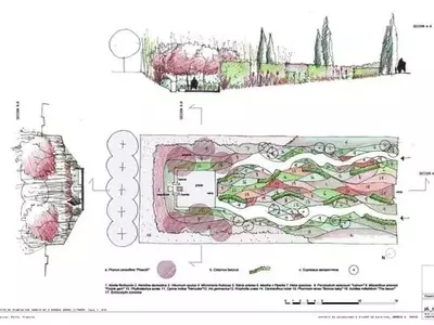 Diseño de Jardines: Una Guía Esencial para la Creación de Espacios Exteriores Únicos