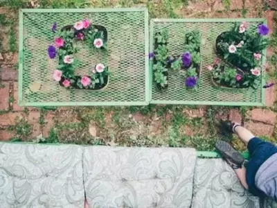 Cree Diseños Únicos en su Jardín con Plantas