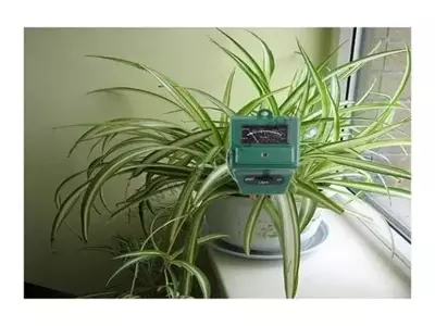 La Influencia Crucial del pH en la Salud Vegetal: Agua y Suelo
