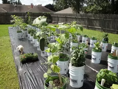Cultivo Ecológico en Contenedores Reutilizados: Una Guía Práctica
