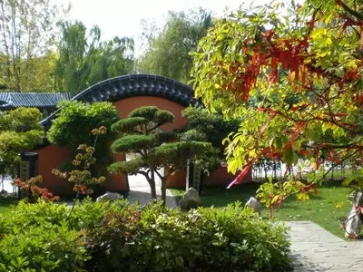Crea el Jardín de Tus Sueños: Guía Esencial para Principiantes