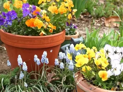 Secretos para un Crecimiento Exuberante de tus Plantas