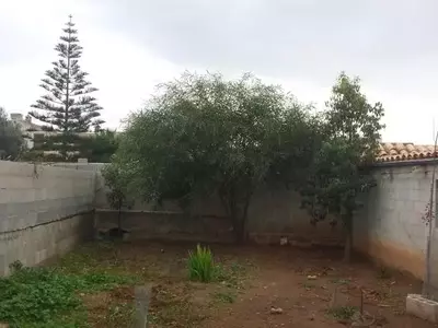 Guía Completa para el Diseño y Plantación de un Jardín Resiliente