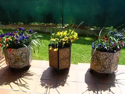 Manejo Óptimo del Sustrato en Macetas para un Crecimiento Vegetal Saludable