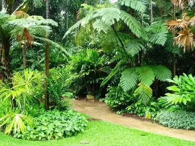 El esplendor de las plantas tropicales: un toque exótico en tu jardín