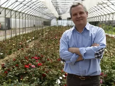 El Arte de Cultivar Rosas: Historia, Innovación y el Desafío del Aroma
