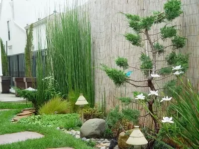 Creación de un Oasis de Paz: La Esencia de un Jardín Zen en Casa