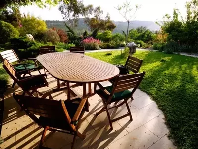 Innovación y Sostenibilidad en el Diseño de Jardines: Tendencias para 2015