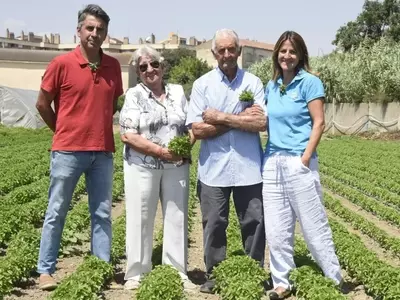 Descubriendo la Albahaca: Un Mundo de Variedades, Cultivo y Secretos Culinarios