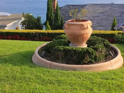 Jardines Costeros: Guía Completa de Plantas Resistentes y Estrategias de Diseño