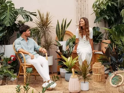 Plantas Colgantes: El Toque Natural y Sofisticado para un Hogar Saludable