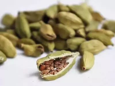 El Cardamomo: Un Tesoro Culinario con Historia y Cultivo Particular