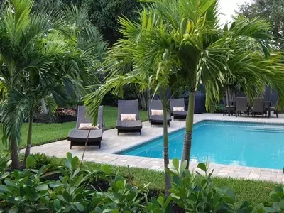 Diseño y Cuidado de Jardines con Palmeras