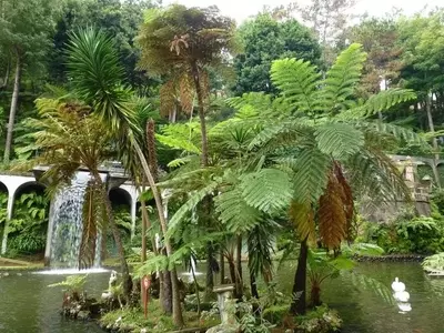 Creando un Paraíso Tropical en Tu Jardín, Incluso en Climas Fríos