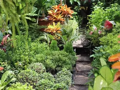 Consejos Esenciales para el Diseño de Jardines Amplios