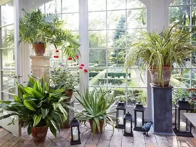Realzando la Belleza Vegetal: Una Guía Completa sobre Pedestales para Plantas