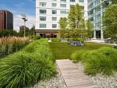 Transforma tu Azotea en un Oasis Verde: Guía Completa