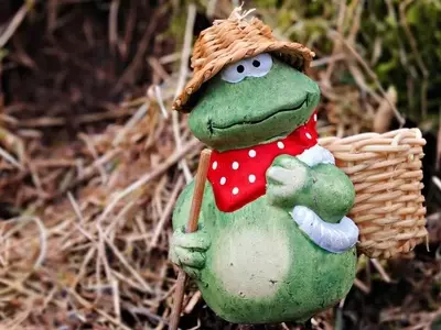 Descubriendo el Arte de la Jardinería: Una Guía para Principiantes Apasionados