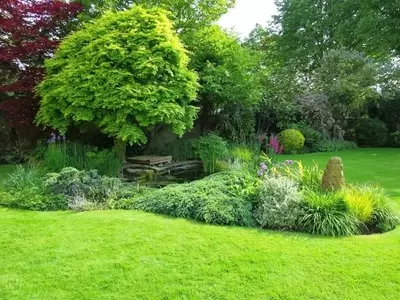 Transforma tu Jardín: Guía Completa para una Renovación Exitosa