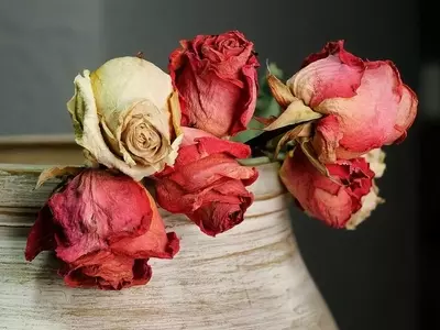 El Arte de Decorar con Flores Secas: Belleza Duradera y Creatividad en el Hogar