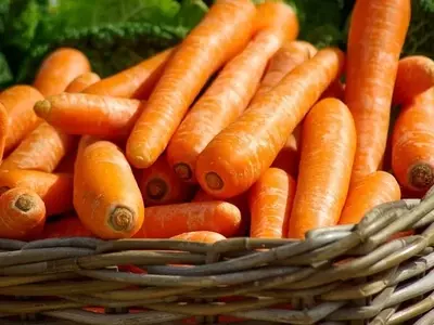 La Zanahoria: Un Tesoro Nutricional y Culinario