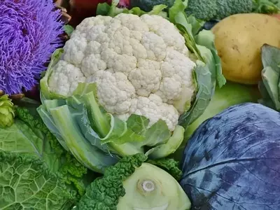 La Fascinante Coliflor: Un Tesoro Nutricional y Culinario