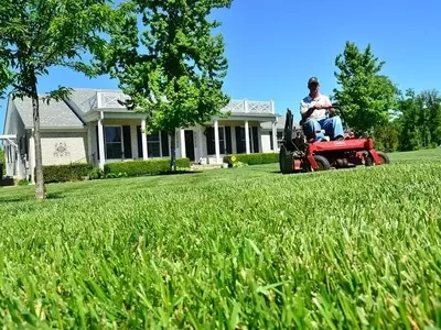 Revitaliza tu Jardín: La Importancia de la Escarificación del Césped