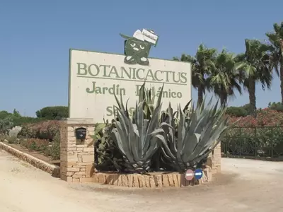 Descubriendo Botanicactus: Un Oasis Botánico Único en Mallorca