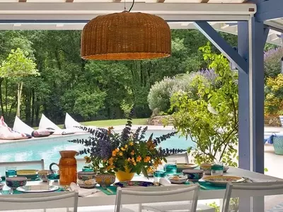 Jardines en Flor: Guía Completa de Plantas de Verano Resistentes al Calor