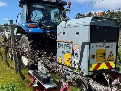 Control Eléctrico de Malezas: Innovación Eficaz para una Agricultura Sostenible