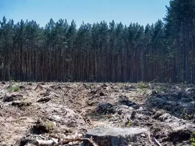 Nuevos Enfoques para la Conservación Forestal y el Desarrollo Agrícola